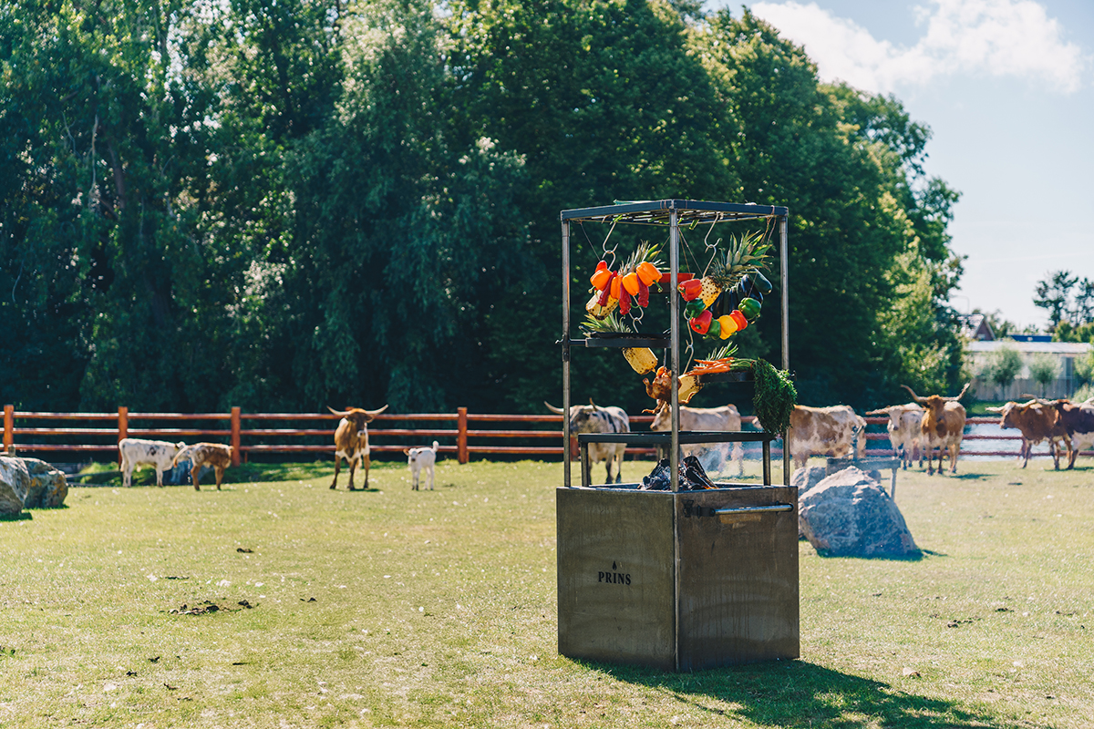 vuurschaal bbq